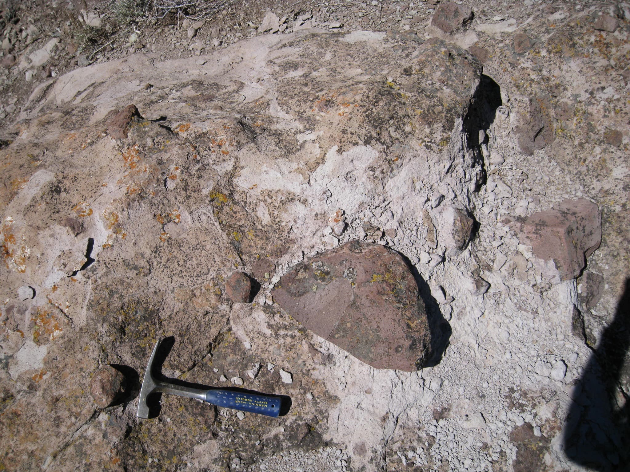 Field Geology